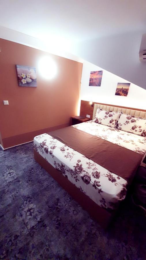 Stay Inn Rediu Valea Lupului  Екстериор снимка